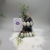 Green Turbo Shell Bracelet (Natural)