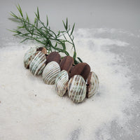 Green Turbo Shell Bracelet (Natural)