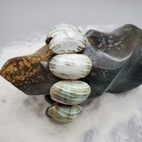 Green Turbo Shell Bracelet (Natural)