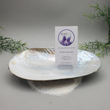 Decorative Half Clam Shell Dish