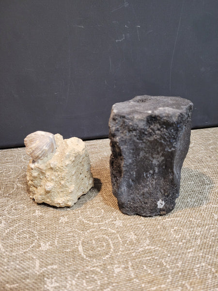 16133 July 10th 2025 Live