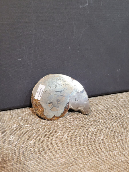 15605 July 11-13th 2025 Live