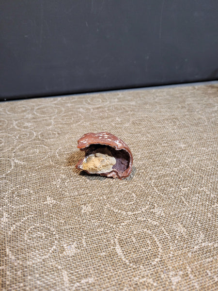 15047 July 14th 2025 Live