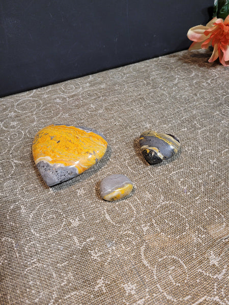 chattylittlebirds July 16th 2025 Live