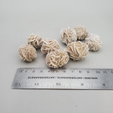 Desert Rose (Baryte Crystal)