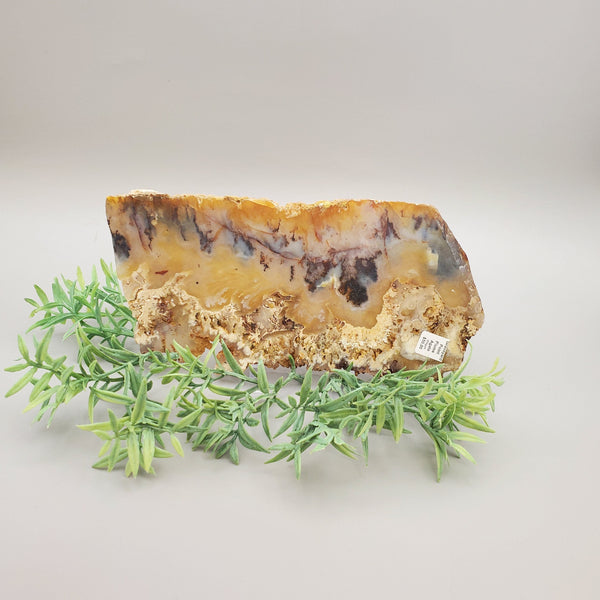 Plume Agate Slab