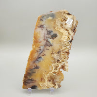Plume Agate Slab