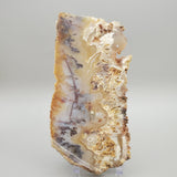 Plume Agate Slab