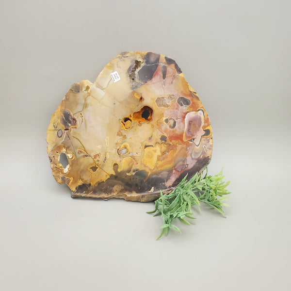 Rhyolite Jasper Slab