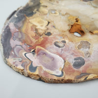 Rhyolite Jasper Slab