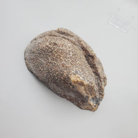 Polished, Brazilian Agate Geode