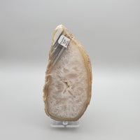 Polished, Brazilian Agate Geode