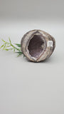 Dugway Agate Geode