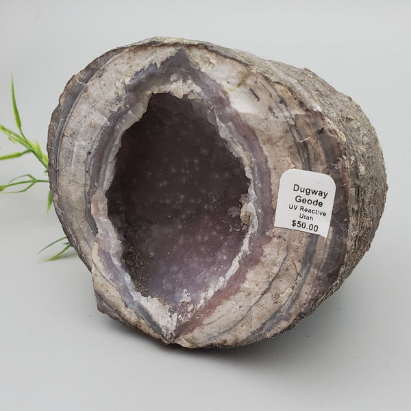Dugway Agate Geode