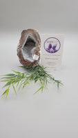 Dugway Agate Geode