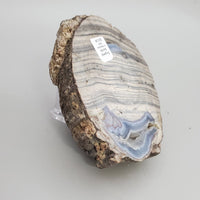 Dugway Agate Geode