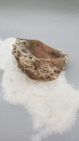 Agatized Fossil Coral