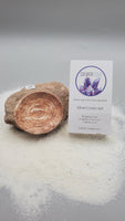 Fossilized Fish Vertebrae