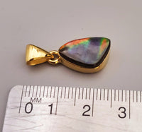 A Grade Ammolite Pendant (Gold Plated) .925SS