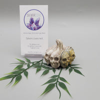 Bumble Bee Jasper, Pumpkin Skulls Carving