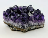 Amethyst Cluster Specimens