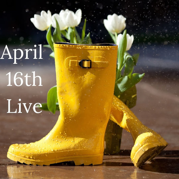 chrissyb415 April 16th Live 2024