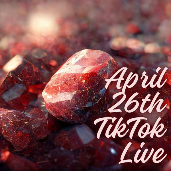 justinenotjustintm April 26th TikTok Live 2024