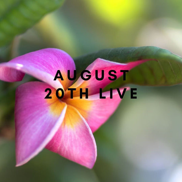 10925 August 20th Live 2023