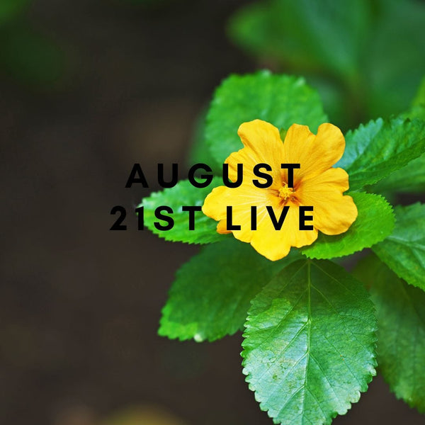 10925 August 21st Live 2023