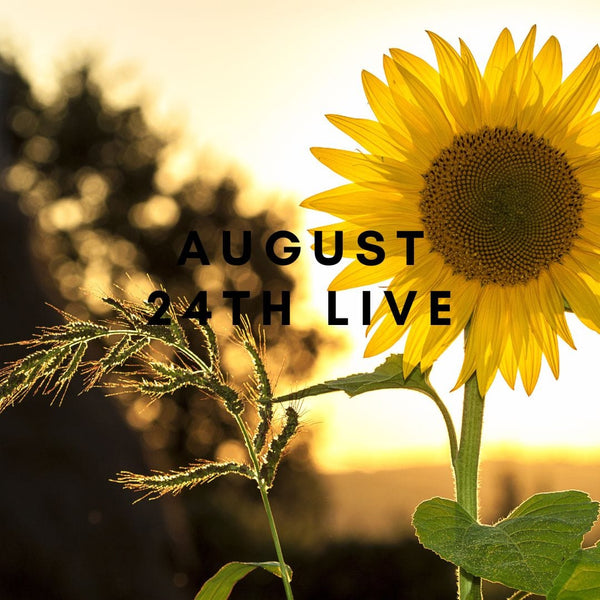 15662 August 24th Live 2023
