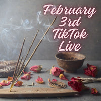 sara.h_s February 3rd TikTok Live 2024