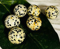 Dalmation Jasper Sphere