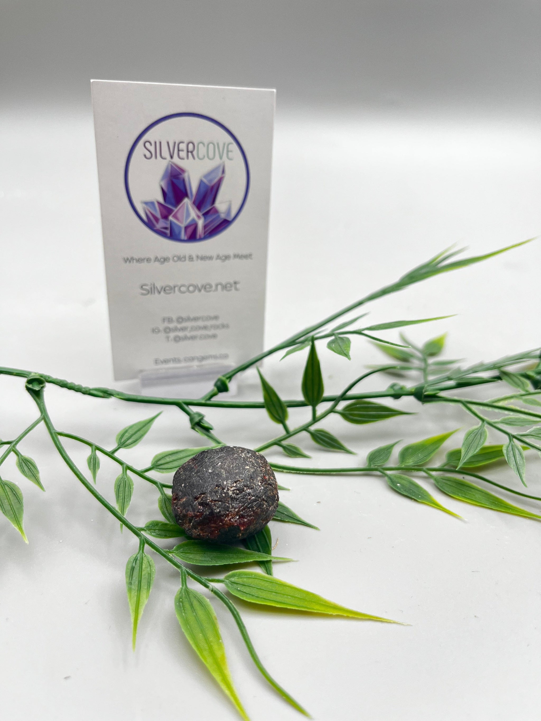 All Silver Cove Products – Tagged 