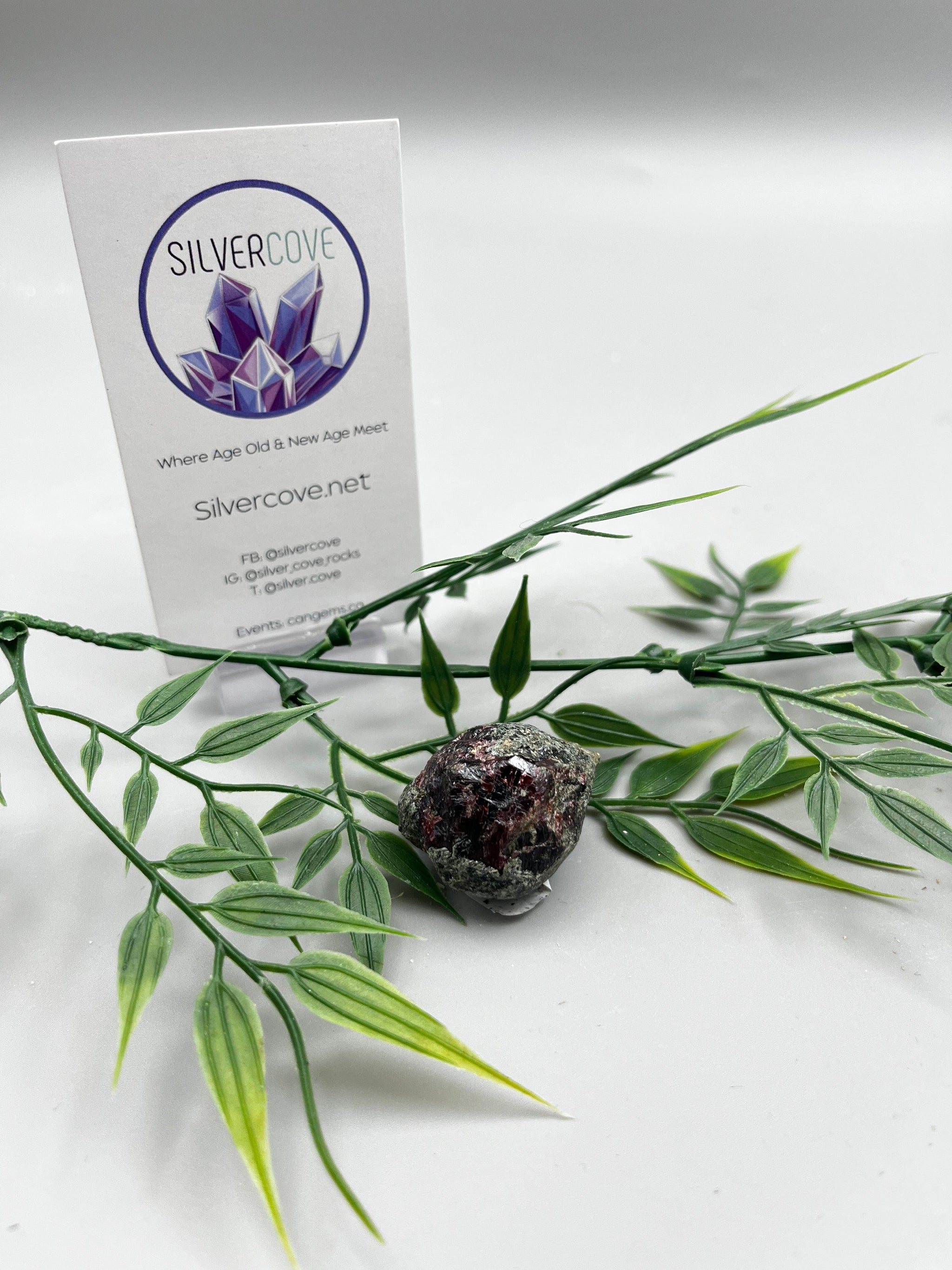 All Silver Cove Products – Tagged 