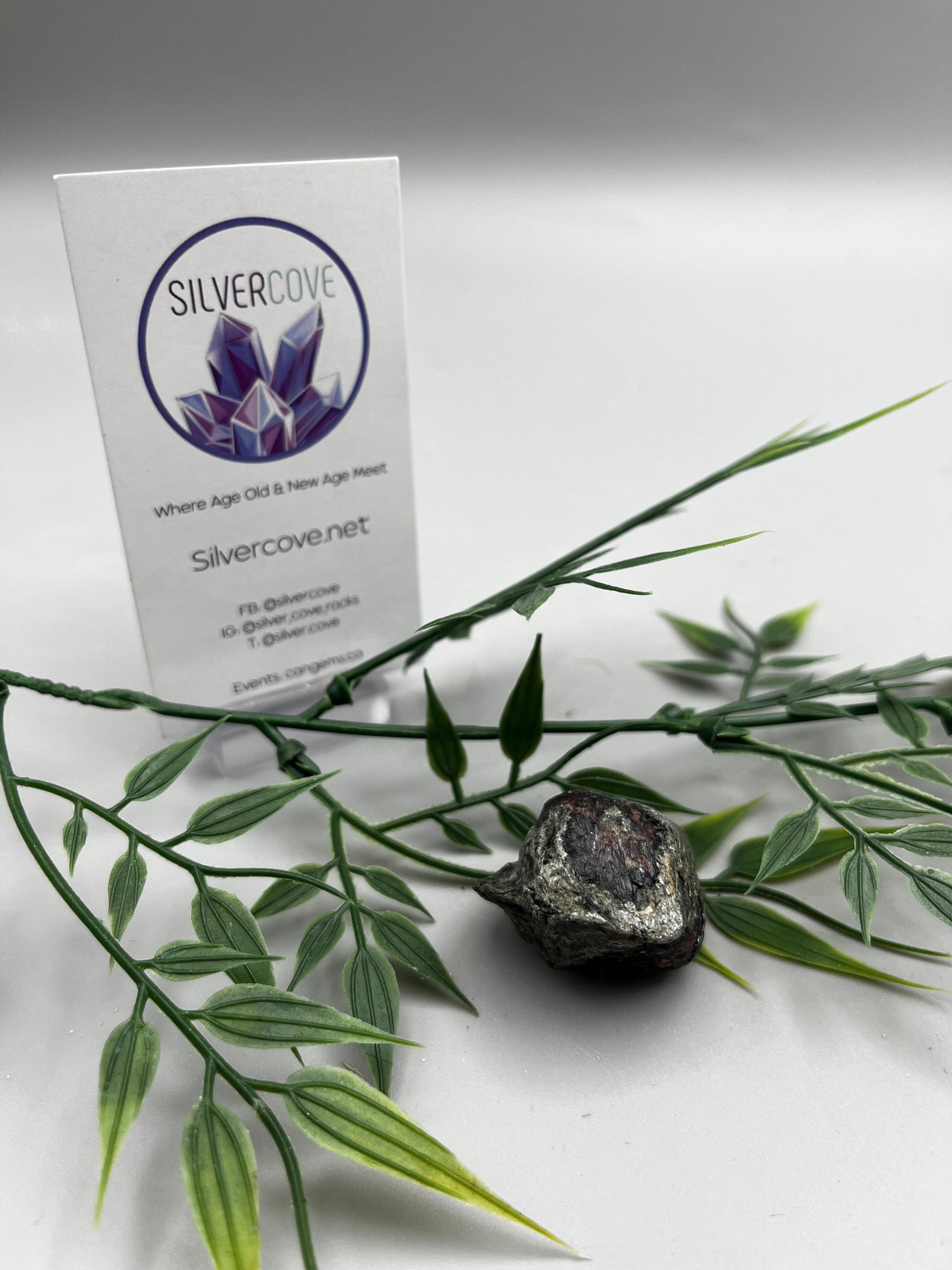 All Silver Cove Products – Tagged 
