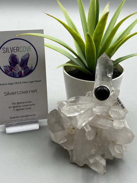 Canadian Sapphire Ring in .925 Sterling Silver (size 6)