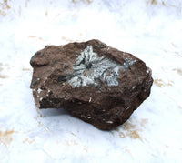 Moroccan Pyrolusite Specimen