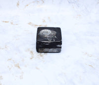 Polished Orthoceras Box