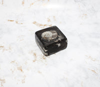 Polished Orthoceras Box