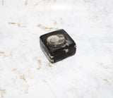 Polished Orthoceras Box