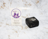 Polished Orthoceras Box