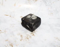 Polished Orthoceras Box
