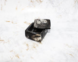 Polished Orthoceras Box