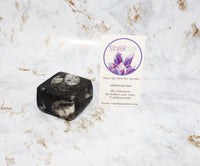 Polished Orthoceras Box