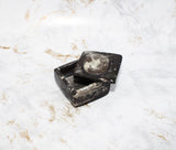 Polished Orthoceras Box