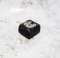 Polished Orthoceras Box
