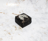 Polished Orthoceras Box