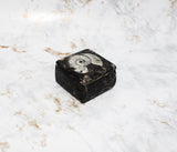 Polished Orthoceras Box
