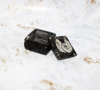 Polished Orthoceras Box