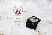 Polished Orthoceras Box